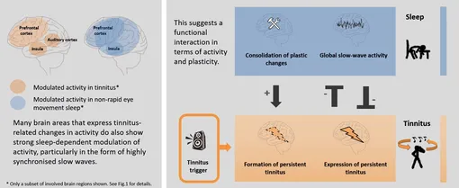 Графическая схема исследования.