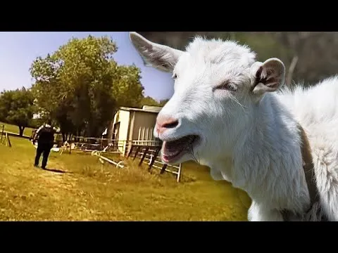 Нажми и смотри