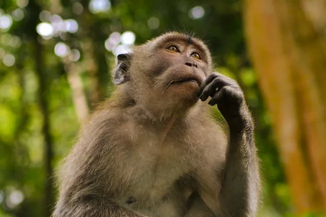 Как ИИ разрушает мышление людей? Узнайте интересный ответ!