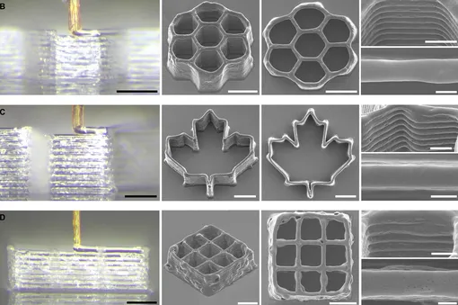 напечатанные с помощью хоботка-иглы образцы