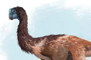 Как «птичьи» динозавры строили гнезда и высиживали яйца