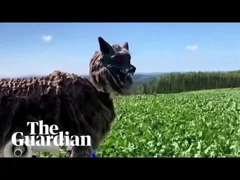 Нажми и смотри Нажми и смотри