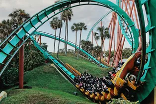 Полная встряска: что происходит с организмом во время катания на аттракционах Полная встряска: что происходит с организмом во время катания на аттракционах