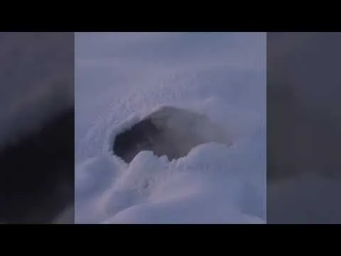 Нажми и смотри