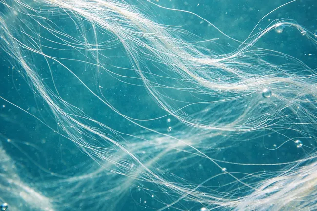 Дело о потерявшемся микропластике: ученые выяснили, куда деваются волокна из стирки