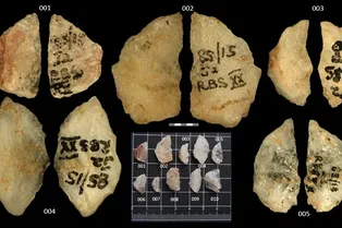 В Южной Африке нашли доказательства использования ядовитых стрел 60 тысяч лет назад