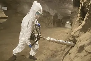 Ученые нашли 26 неизвестных видов микробов, замороженных на Аляске 40 000 лет Ученые нашли 26 неизвестных видов микробов, замороженных на Аляске 40 000 лет