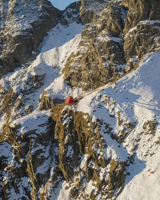 Архитекторы не уверены, как экспериментальные материалы (техническая ткань, пробка, легкий композитный каркас) со временем отреагируют на контакт с животными. /