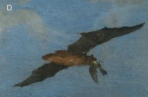 Большая вечерница ( Nyctalus lasiopterus ) с птицей во рту Большая вечерница ( Nyctalus lasiopterus ) с птицей во рту
