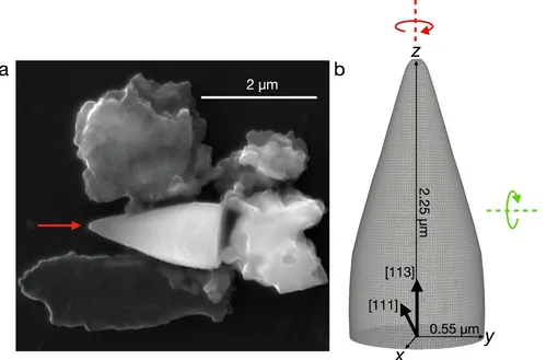 Изображение гигантского магнитофоссилия в виде наконечника копья (красная стрелка), окруженного частицами детрита, полученное с помощью сканирующего электронного микроскопа. b Пример 3D-модели частицы, используемой в микромагнитных симуляциях. Изображение гигантского магнитофоссилия в виде наконечника копья (красная стрелка), окруженного частицами детрита, полученное с помощью сканирующего электронного микроскопа. b Пример 3D-модели частицы, используемой в микромагнитных симуляциях.