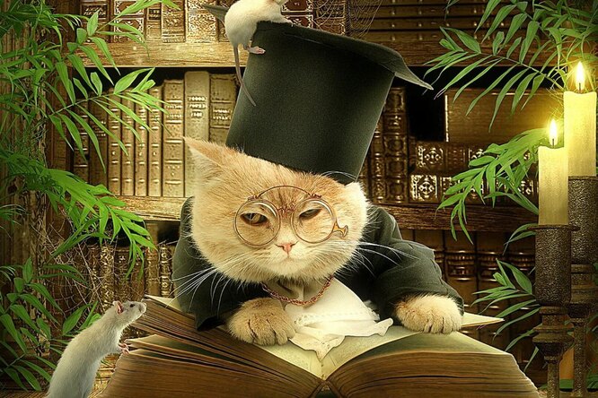 Настье, уклюжий, льзя и годяй: слова, которые раньше прекрасно себя чувствовали без приставки «не»