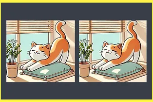 Кошачьи потягушки: найдите между картинками три отличия за ограниченное время Кошачьи потягушки: найдите между картинками три отличия за ограниченное время