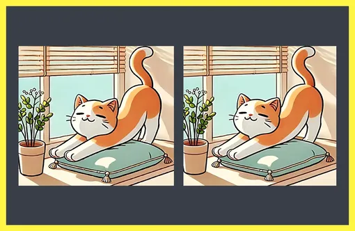 Найдите отличия Найдите отличия