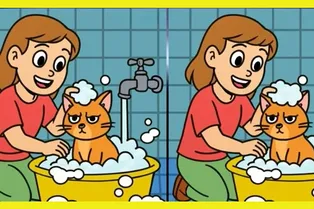 Девушка купает кота: найдите 3 отличия между картинками Девушка купает кота: найдите 3 отличия между картинками