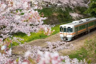 Как любители фотографировать поезда в Японии стали угрожать обществу Как любители фотографировать поезда в Японии стали угрожать обществу