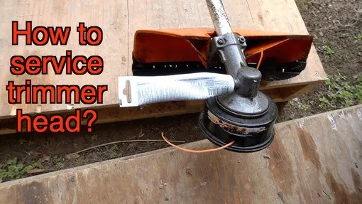 how to lubricate strimmer gear