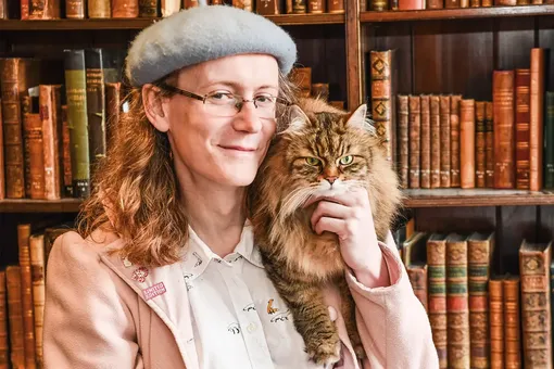 кот в библиотеке