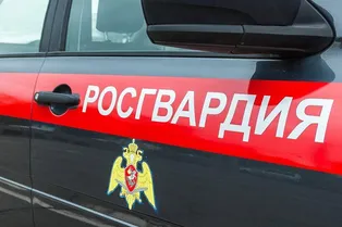 Росгвардия получит неприметные автомобили связи Росгвардия получит неприметные автомобили связи