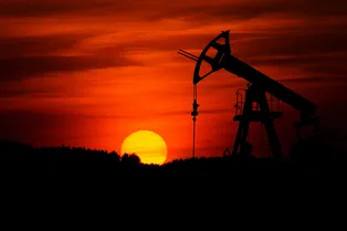 Бионефть: топливо из отходов человеческой жизнедеятельности