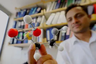 Аминокислота таурин может замедлить старение у животных. Про людей пока ничего не известно Аминокислота таурин может замедлить старение у животных. Про людей пока ничего не известно