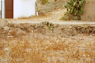 Тест на внимательность, с которым не справляется каждый второй: на этой картинке спрятался кот, попытайтесь его найти Тест на внимательность, с которым не справляется каждый второй: на этой картинке спрятался кот, попытайтесь его найти