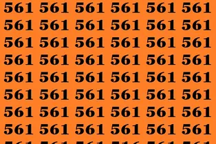 Картинка-головоломка: найдите число 516 за 6 секунд Картинка-головоломка: найдите число 516 за 6 секунд