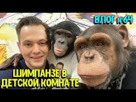 Нажми и смотри Нажми и смотри
