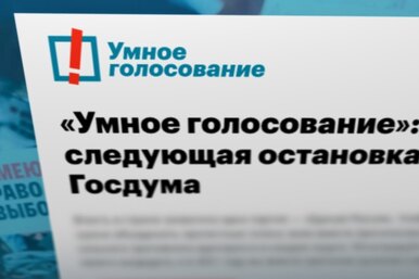 Пензенец случайно отправил главе поселка список «Умного голосования», она приехала к нему с полицией