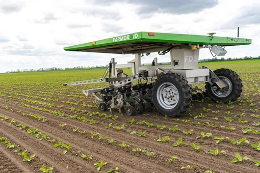 робот на овощном поле робот на овощном поле