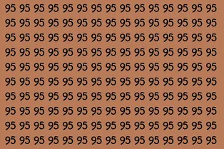 Найдите число 59: визуальная головоломка на 9 секунд Найдите число 59: визуальная головоломка на 9 секунд