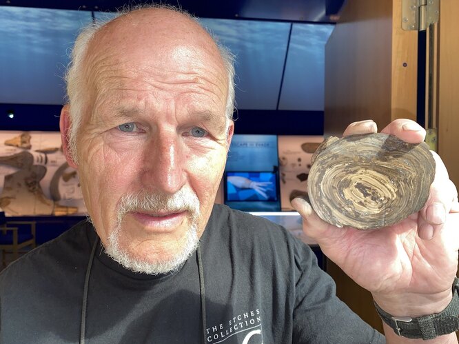 Найден самый старый желудочный камень