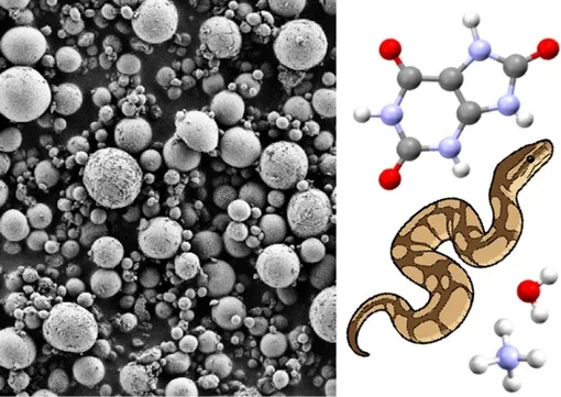 Çalışma tasarımı.