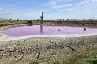 В Британии хайкер испугался розового озера: вот как оно стало таким