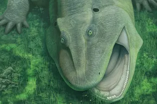 Странный предок четвероногих: существо с зубами «вбок» жило 275 миллионов лет назад Странный предок четвероногих: существо с зубами «вбок» жило 275 миллионов лет назад