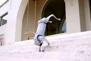 Стартап показал робота-собаку, который в 47 раз дешевле продукта Boston Dynamics Стартап показал робота-собаку, который в 47 раз дешевле продукта Boston Dynamics