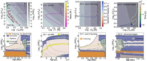 Диаграммы H-R (вверху) и Киппенхана (внизу) для звезды с массой 7000 масс Солнца. Вся эволюция звезды показана на рисунках (a) и (b), ее эволюция до главной последовательности показана на рисунках (c) и (d), фаза горения водорода в ядре показана на рисунках (e) и (f), а фаза горения гелия в ядре до конца горения кремния показана на рисунках (g) и (h). Черные и белые линии на диаграммах Киппенхана представляют собой линии изомассы и изотермы соответственно, а красные и зеленые точки вдоль траектории в левом нижнем углу (a) — это положения нулевого возраста главной последовательности (ZAMS) звезд Населения III массой 2–120 масс Солнца и 1000–10 000 масс Солнца для сравнения. Диаграммы H-R (вверху) и Киппенхана (внизу) для звезды с массой 7000 масс Солнца. Вся эволюция звезды показана на рисунках (a) и (b), ее эволюция до главной последовательности показана на рисунках (c) и (d), фаза горения водорода в ядре показана на рисунках (e) и (f), а фаза горения гелия в ядре до конца горения кремния показана на рисунках (g) и (h). Черные и белые линии на диаграммах Киппенхана представляют собой линии изомассы и изотермы соответственно, а красные и зеленые точки вдоль траектории в левом нижнем углу (a) — это положения нулевого возраста главной последовательности (ZAMS) звезд Населения III массой 2–120 масс Солнца и 1000–10 000 масс Солнца для сравнения.