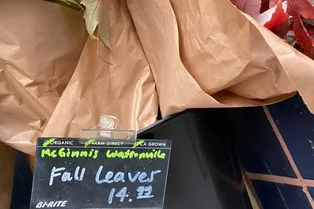 Осеннюю листву запустили в продажу в США Осеннюю листву запустили в продажу в США