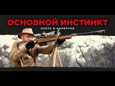 Нажми и смотри