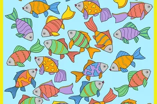 Полминуты на поиск: сможете найти рыбку без пары? Полминуты на поиск: сможете найти рыбку без пары?