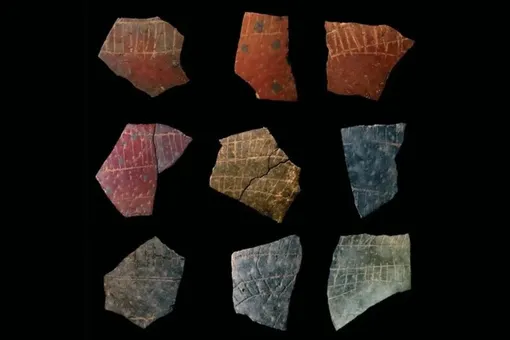 Древние люди использовали страусиные яйца как «тетради» 60 000 лет назад Древние люди использовали страусиные яйца как «тетради» 60 000 лет назад