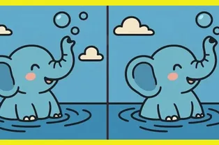 Между двумя купающимися слонятами есть отличия. Найдете их за 17 секунд?