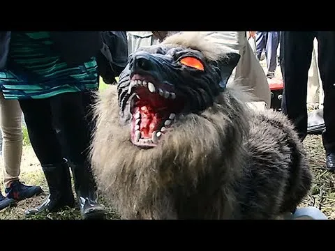 Нажми и смотри