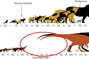 Размерный ряд: почему динозавры были или очень большими, или слишком маленькими Размерный ряд: почему динозавры были или очень большими, или слишком маленькими