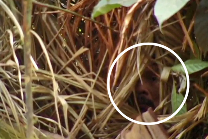 В бразильских джунглях умер последний представитель одного из коренных племен. Почти 30 лет он жил в полной изоляции