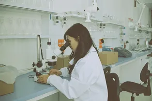 Бактерии, пчелы и пределы клонирования: главные новости сегодня Бактерии, пчелы и пределы клонирования: главные новости сегодня