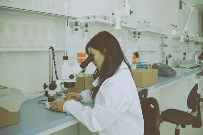 Бактерии, пчелы и пределы клонирования: главные новости сегодня