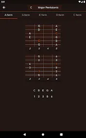 FretBuzz CAGED System app
