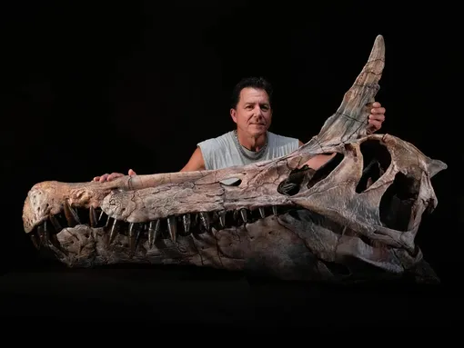 Череп спинозавра