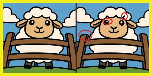 Ответ на головоломку