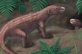 250-миллионная окаменелость показала, как возник слух у предков млекопитающих